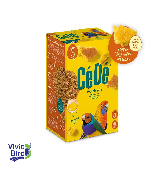 CeDe 8